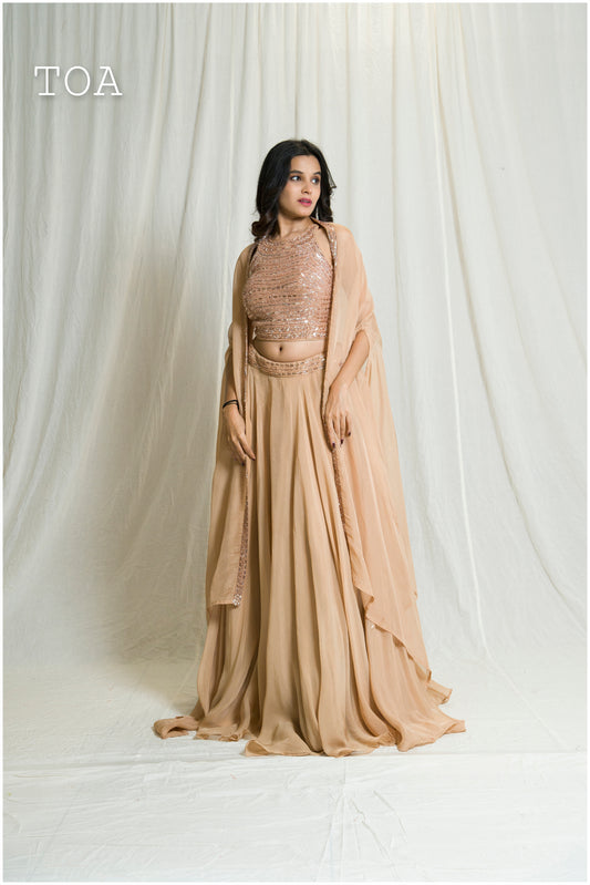 Beautiful Nude Shade Indo-Western Outfit