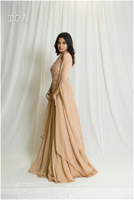 Beautiful Nude Shade Indo-Western Outfit