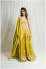 Beautiful Liril Green Lehenga Outfit