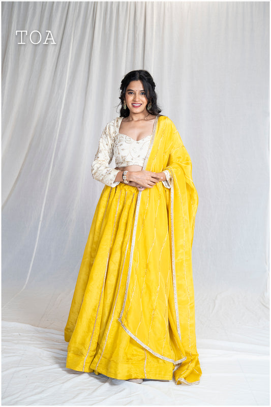 Lime Yellow Kanjivaram Tissue Skirt