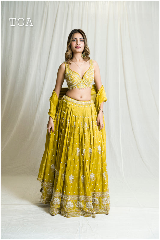 Beautiful Liril Green Lehenga Outfit