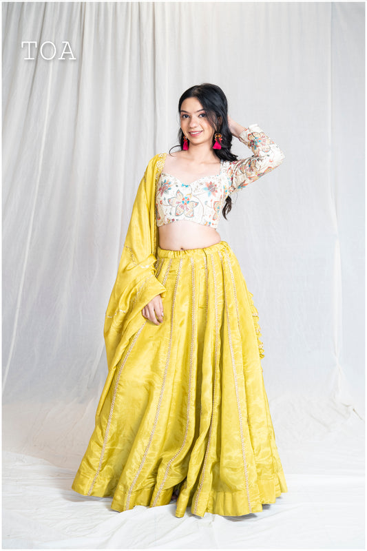 Lime Green Kanjivaram Tissue Skirt