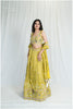 Beautiful Green Lehenga Outfit