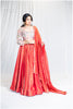 Rustic Red Kanjivaram Skirt