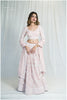 Baby Peach Pink Georgette Festive Lehenga Outfit