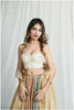 Rang Saaj Corset Kanjivaram Outfit