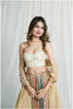 Rang Saaj Corset Kanjivaram Outfit