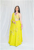 Multi Sequins Dupatta Only - Lime Green