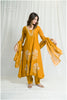 Stunning Golden Chanderi-Colored Embroidered Dress