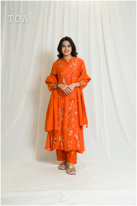 Stunning Rustic-Colored Embroidered Dress