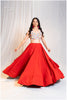 Plain Red Skirt Only