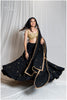 Shades Of Mirror - Sequins Sitara Golden Mirror Georgette Dupatta - Black
