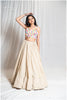 Multi Handloom Jute Mirror Work Top & Skirt