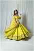Taam Jham 3.O FL Lime Green Set