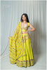 Taam Jham Dupatta Lime Green