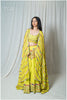 Taam Jham Dupatta Lime Green