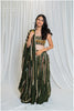 Shades Of Border - BKD 1.O Dupatta - Green