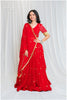 Shades Of Mirror - Sequin Sitara Golden Mirror & Lampi Outfit - Red