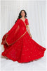 Shades Of Mirror - Sequin Sitara Golden Mirror & Lampi Outfit - Red
