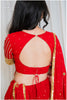 Shades Of Mirror - Sequin Sitara Golden Mirror & Lampi Outfit - Red