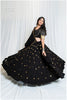Shades Of Mirror -💫💫 Sequins Sitara Golden Mirror Skirt Only - Black