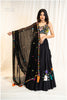 Pop Up Mirror Work Dupatta - Black