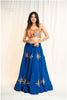 Royal Blue Multi Mirror Work Skirt