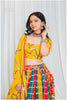 Shades Of Lampi - Multi Gharchola Bandhani Lampi Outfit - EL