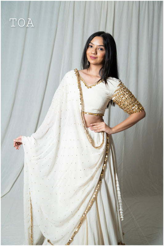 Punjabi Kiran Border Off White Sequins Dupatta Only