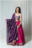 Gulaabi RaaniSa Silk Skirt & Vintage Corset Set