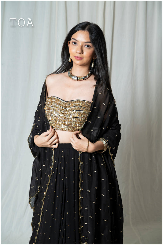 Black Sequins Sitara set